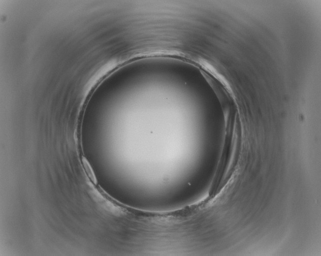 X0000070361189200606091024