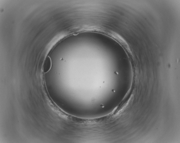 X0000070361190200606091024