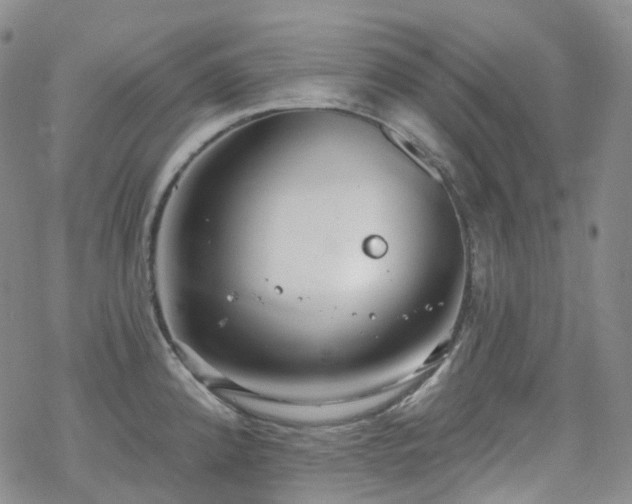 X0000070361192200606091024