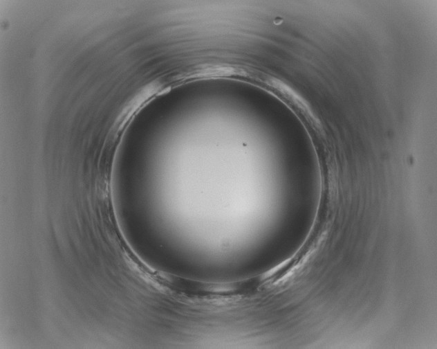 X0000070361193200606091024