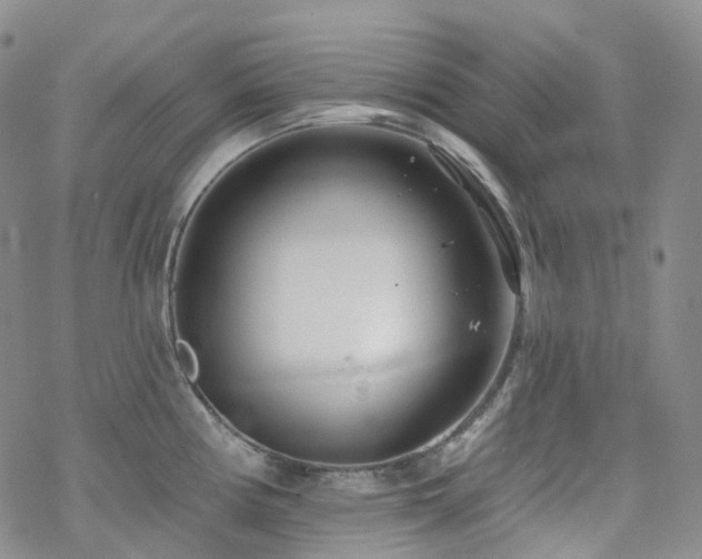 X0000070361194200606091024