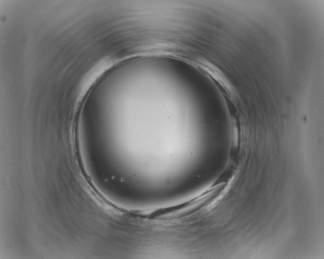 X0000070361196200606091024