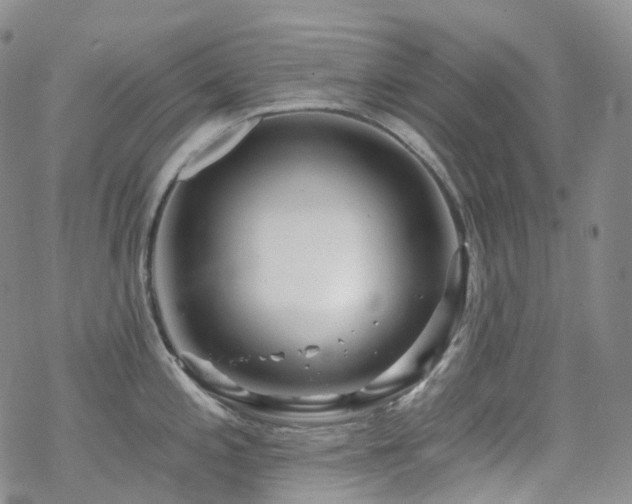 X0000070361197200606091024