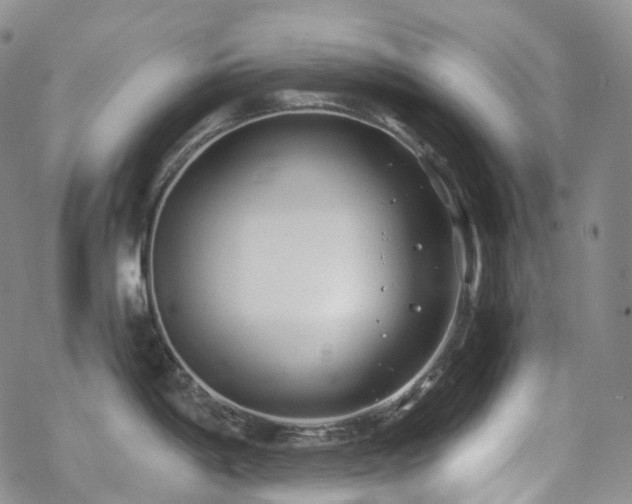 X0000070361198200606091024