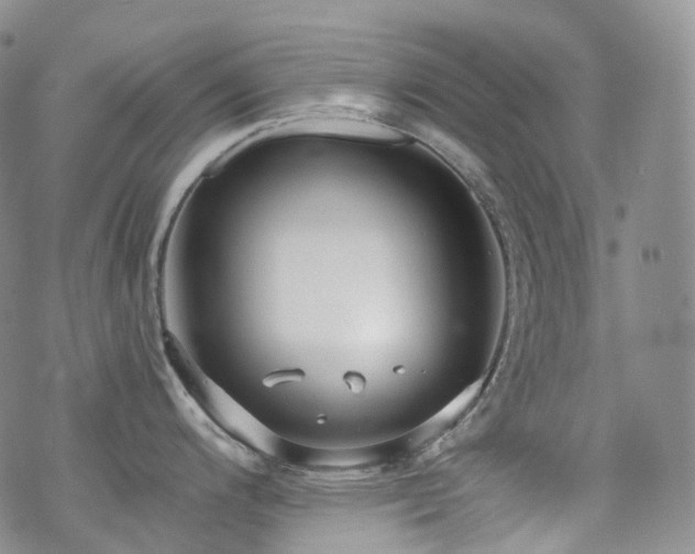 X0000070361200200606091023