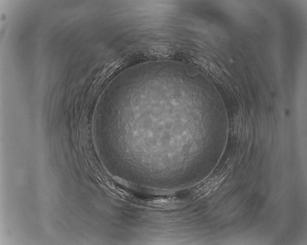 X0000070361201200606091023