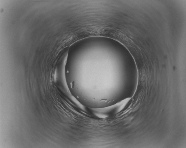 X0000070361202200606091023