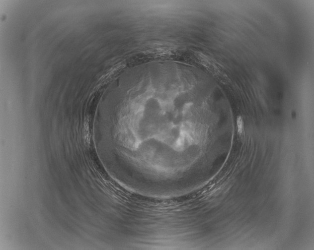 X0000070361203200606091023