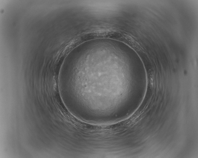 X0000070361204200606091023