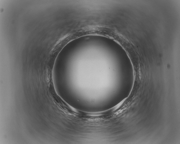 X0000070361206200606091023