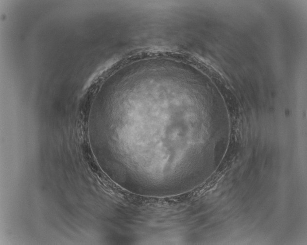 X0000070361207200606091023