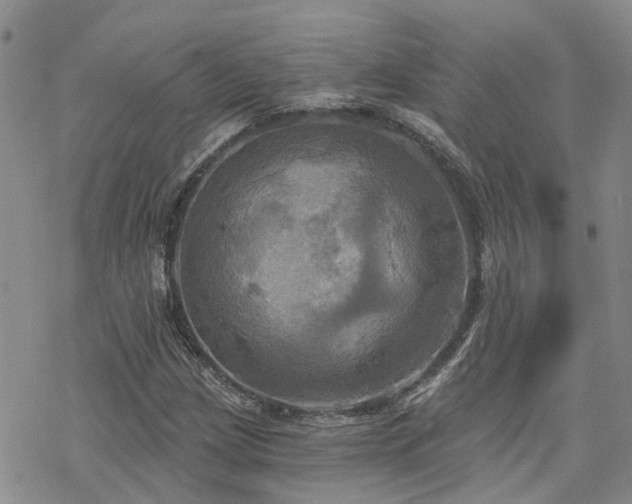 X0000070361209200606091023