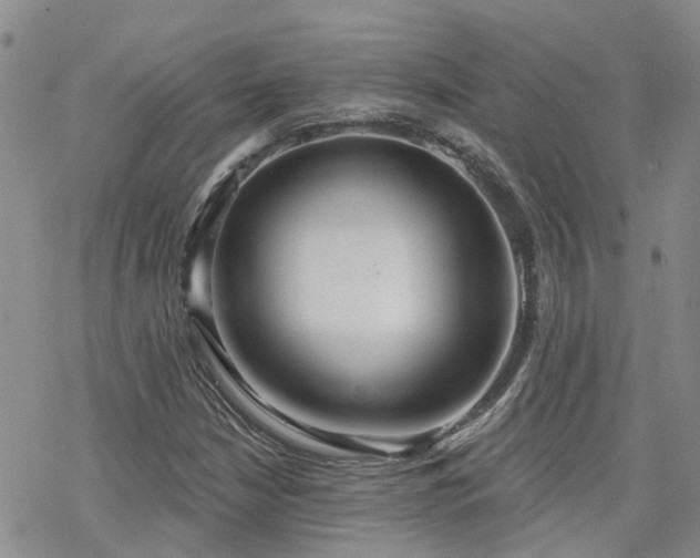 X0000070361210200606091023