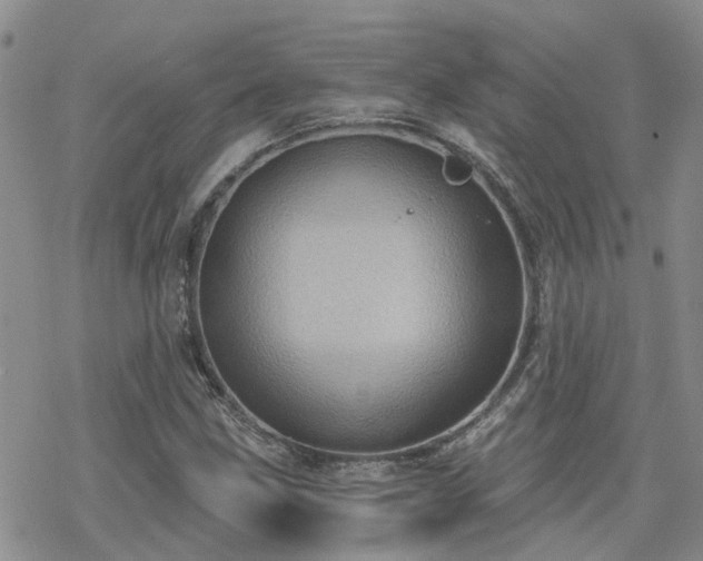 X0000070361211200606091023