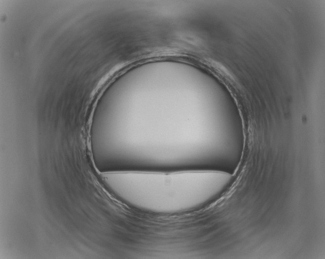 X0000070361212200606091023