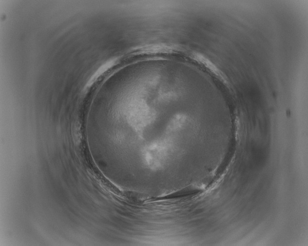 X0000070361213200606091023