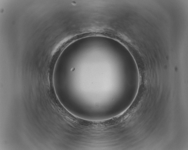 X0000070361214200606091023