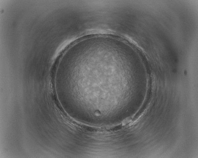 X0000070361215200606091023