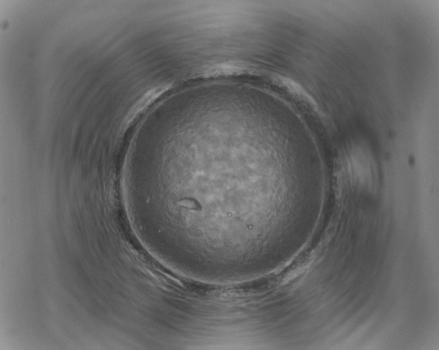 X0000070361217200606091023