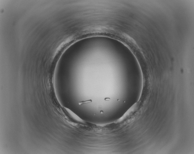 X0000070361218200606091023