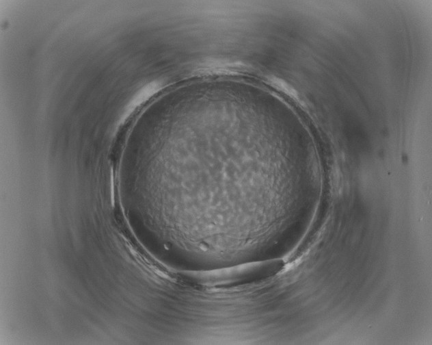 X0000070361219200606091023