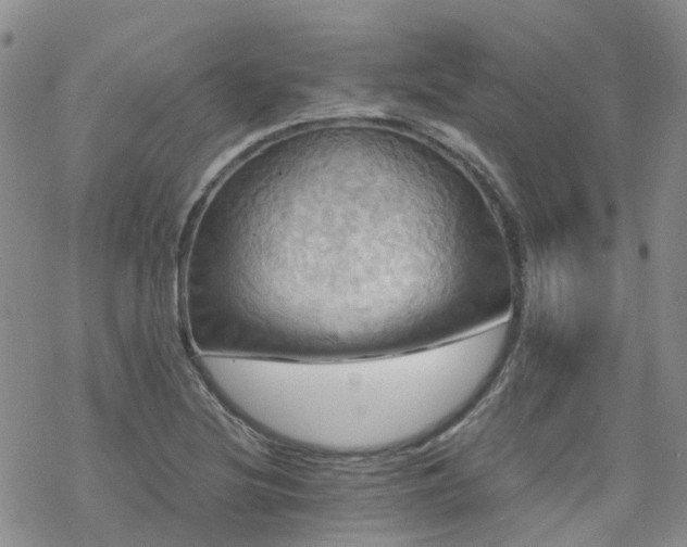 X0000070361220200606091023