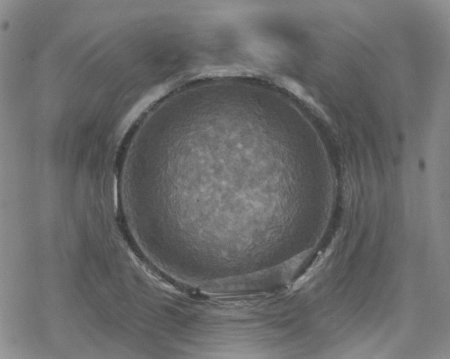 X0000070361221200606091023