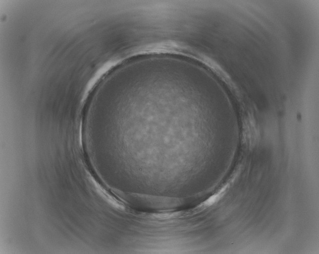 X0000070361224200606091023