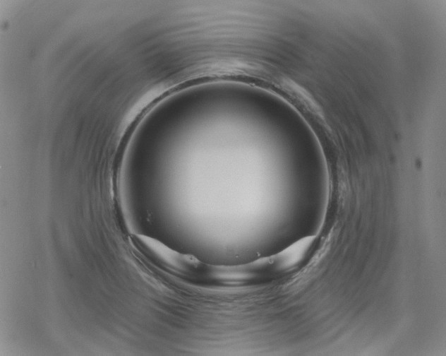 X0000070361226200606091023