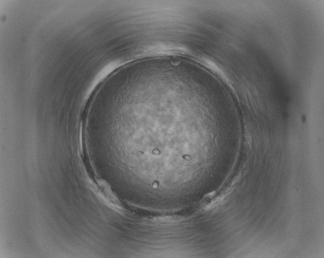 X0000070361227200606091023