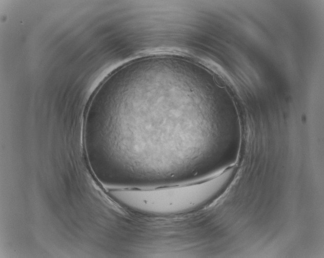 X0000070361228200606091023