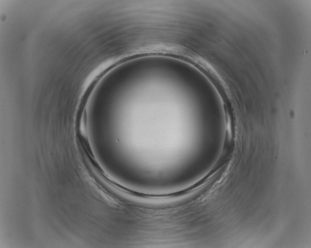 X0000070361230200606091023