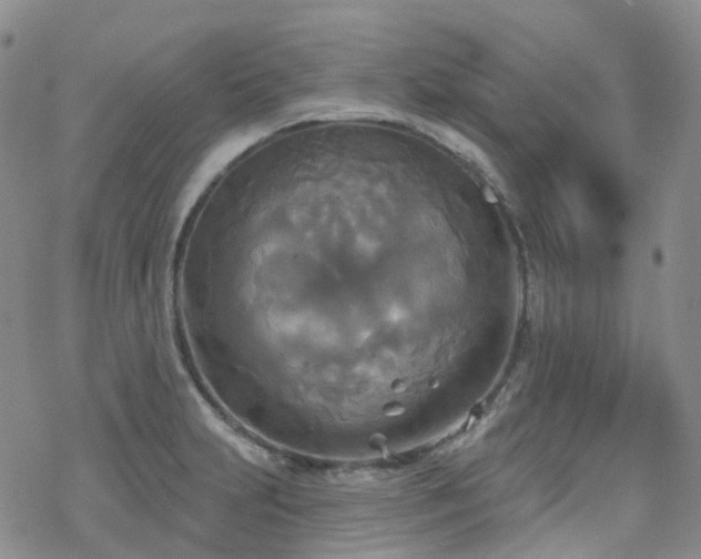 X0000070361231200606091023