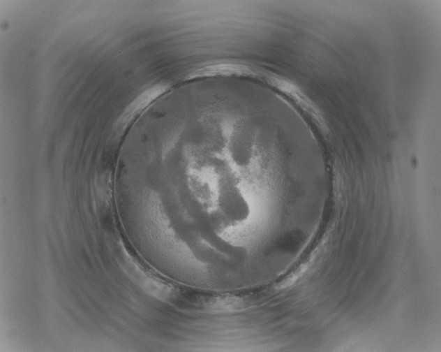 X0000070361233200606091023