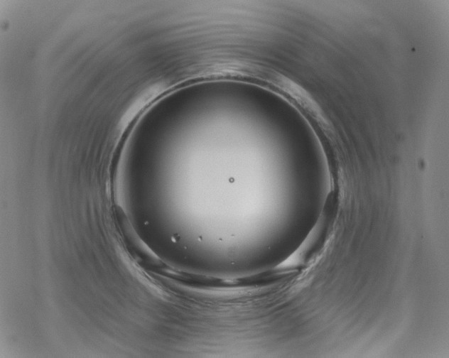 X0000070361234200606091023