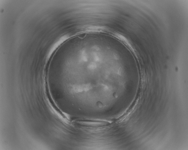 X0000070361235200606091023