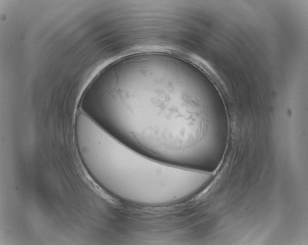 X0000070361236200606091023