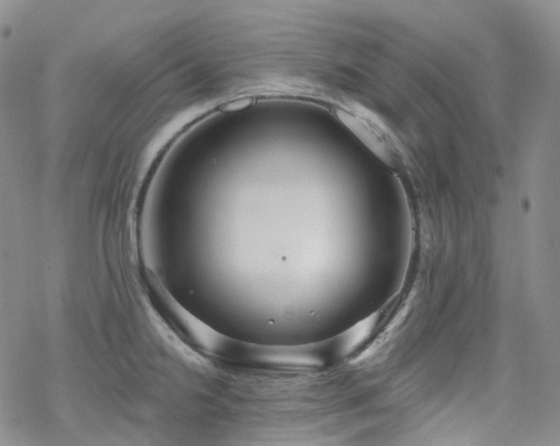 X0000070361238200606091023