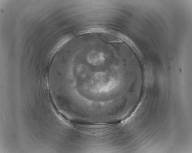 X0000070361241200606091023