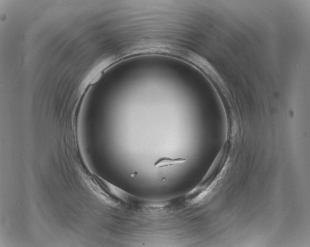 X0000070361242200606091023