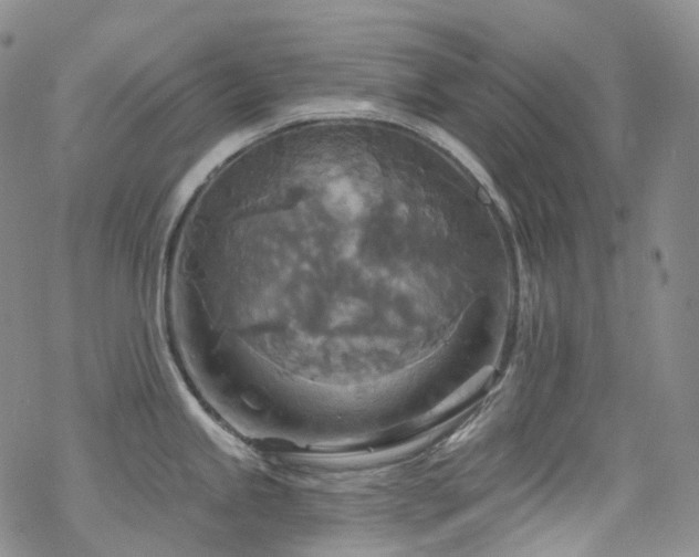 X0000070361245200606091023