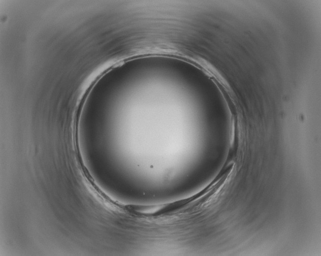 X0000070361246200606091023