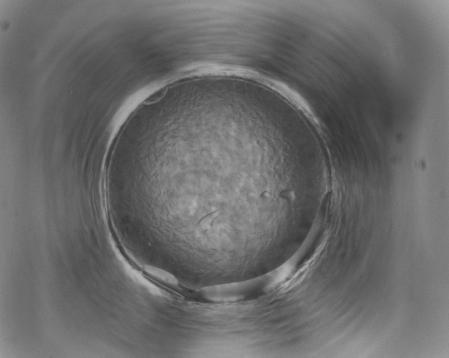 X0000070361247200606091023