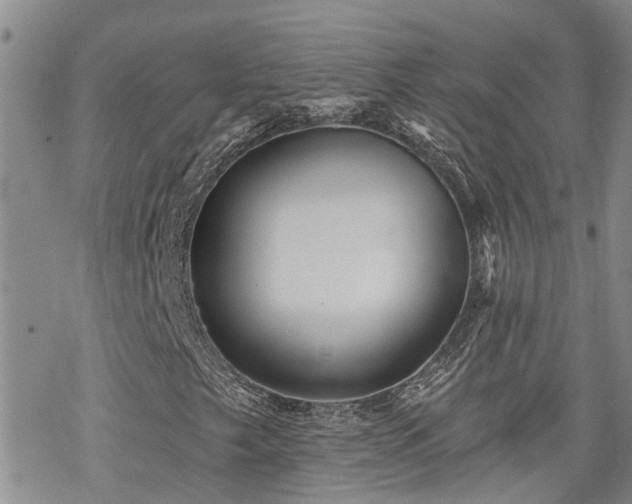 X0000070361249200606091023