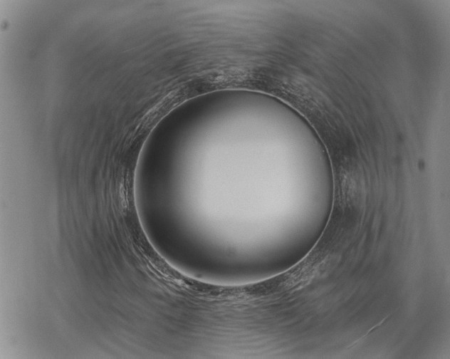 X0000070361250200606091023