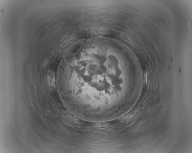 X0000070361251200606091023