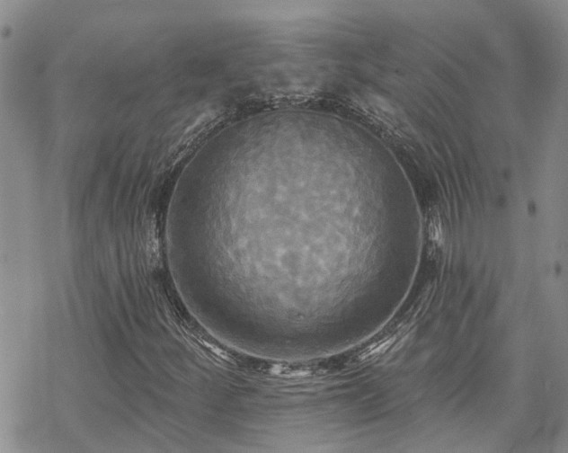 X0000070361252200606091023