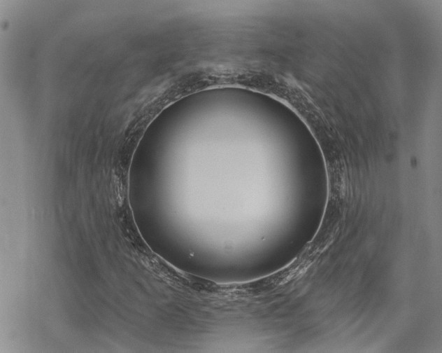 X0000070361253200606091023