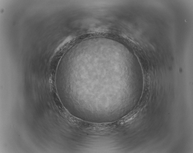 X0000070361254200606091023