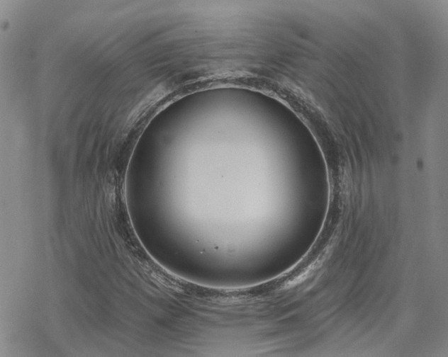 X0000070361257200606091023